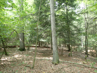 community photo